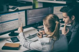 developer