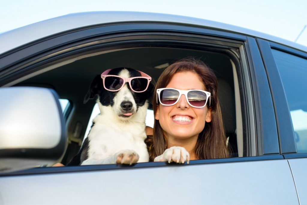 How to Drive a Successful Affiliate Marketing Campaign featured image
